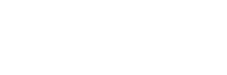 Visualife